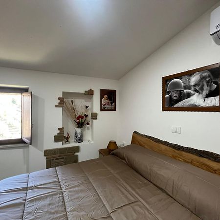 Dimora Forgione B&B - بيترلشينا المظهر الخارجي الصورة